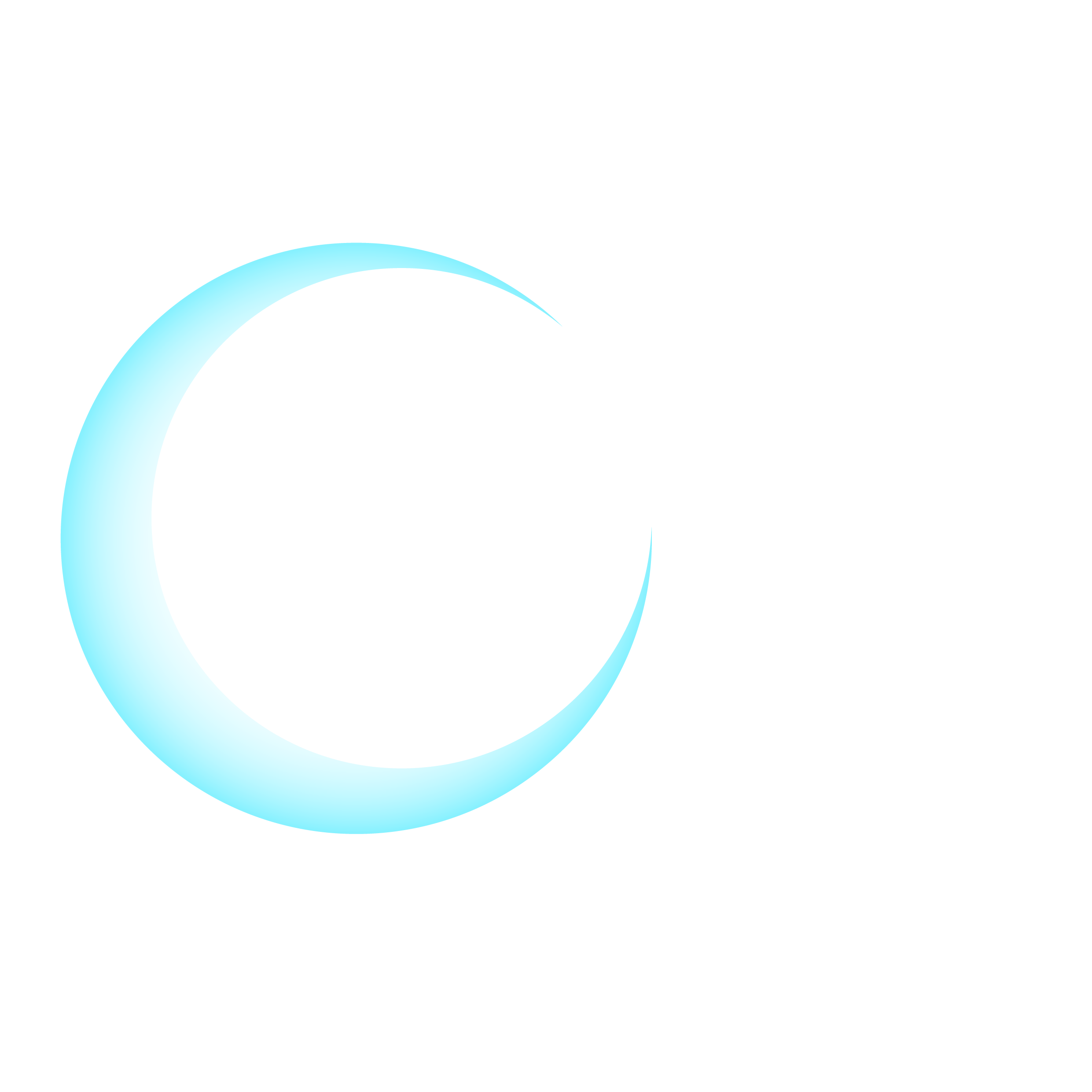 Lunar Pay Logo